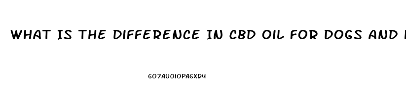 What Is The Difference In Cbd Oil For Dogs And Humans