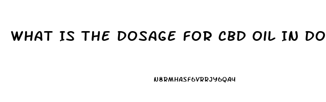 What Is The Dosage For Cbd Oil In Dogs