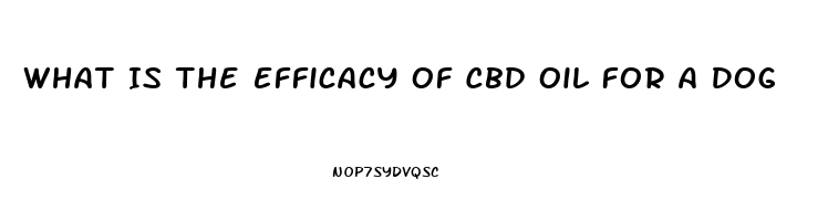 What Is The Efficacy Of Cbd Oil For A Dog