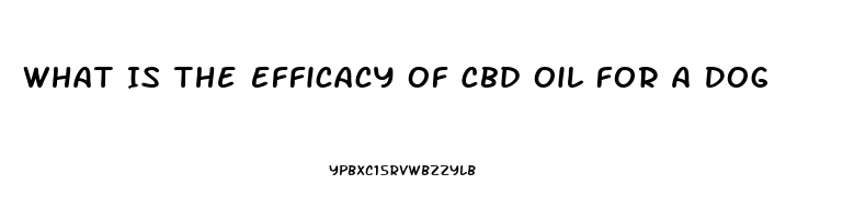 What Is The Efficacy Of Cbd Oil For A Dog