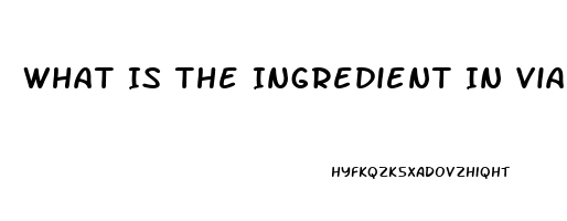 What Is The Ingredient In Viagra