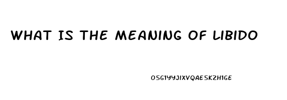 What Is The Meaning Of Libido