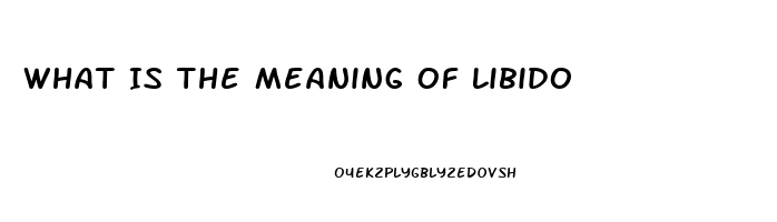 What Is The Meaning Of Libido