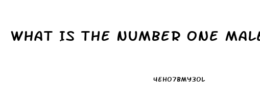 What Is The Number One Male Enhancement