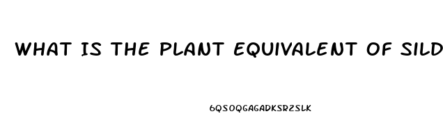 What Is The Plant Equivalent Of Sildenafil Citrate