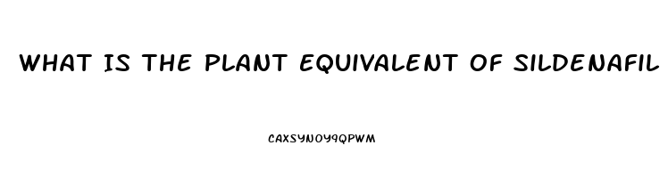 What Is The Plant Equivalent Of Sildenafil Citrate