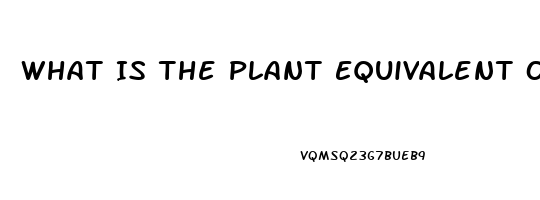 What Is The Plant Equivalent Of Sildenafil Citrate