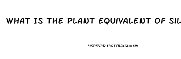 What Is The Plant Equivalent Of Sildenafil Citrate