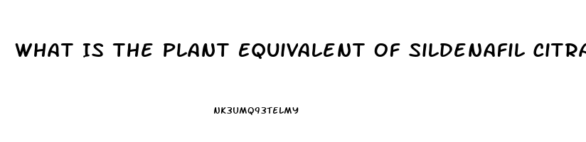 What Is The Plant Equivalent Of Sildenafil Citrate