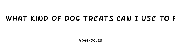 What Kind Of Dog Treats Can I Use To Put Cbd Oil In