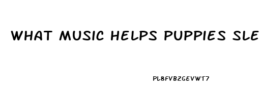 What Music Helps Puppies Sleep