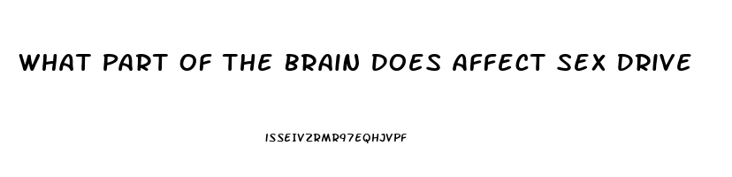 What Part Of The Brain Does Affect Sex Drive