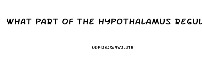What Part Of The Hypothalamus Regulates The Sex Drive