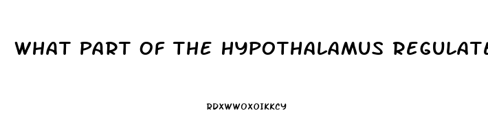 What Part Of The Hypothalamus Regulates The Sex Drive