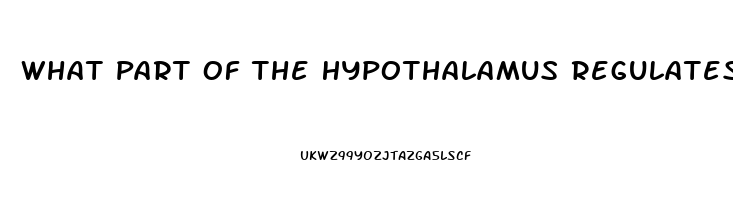 What Part Of The Hypothalamus Regulates The Sex Drive