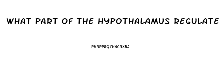 What Part Of The Hypothalamus Regulates The Sex Drive
