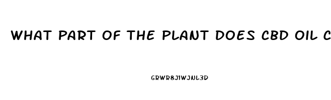 What Part Of The Plant Does Cbd Oil Come From