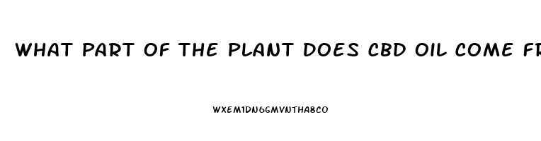 What Part Of The Plant Does Cbd Oil Come From