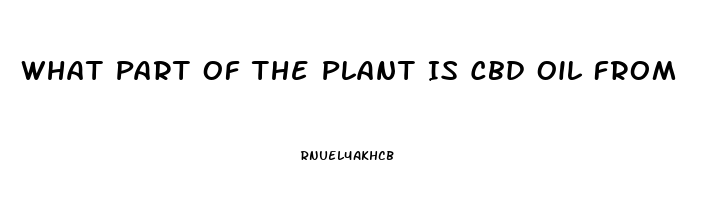 What Part Of The Plant Is Cbd Oil From