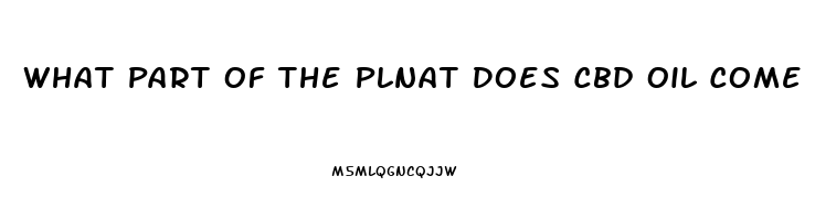 What Part Of The Plnat Does Cbd Oil Come From