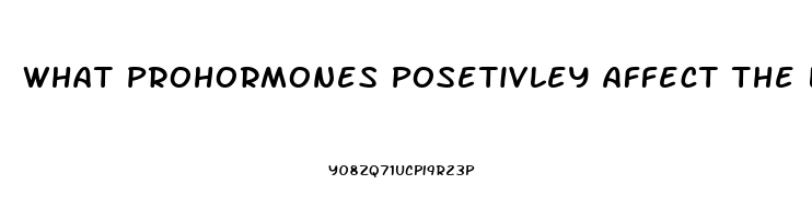 What Prohormones Posetivley Affect The Libido