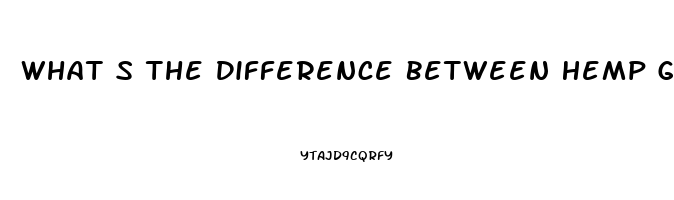 What S The Difference Between Hemp Gummies And Cbd Gummies