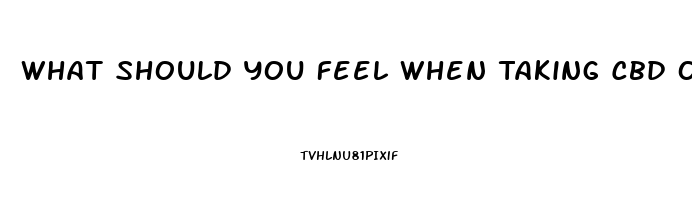 What Should You Feel When Taking Cbd Oil