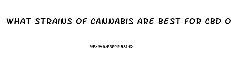 What Strains Of Cannabis Are Best For Cbd Oil