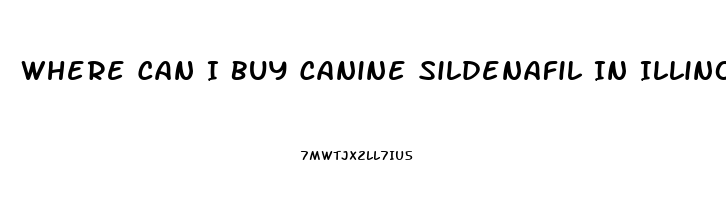 Where Can I Buy Canine Sildenafil In Illinois