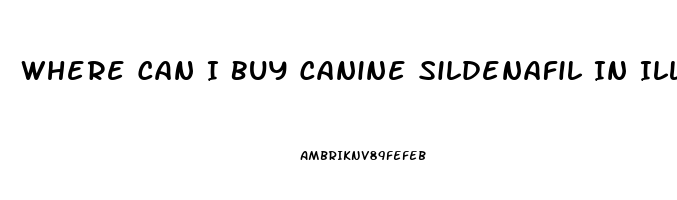 Where Can I Buy Canine Sildenafil In Illinois