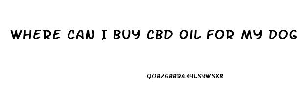 Where Can I Buy Cbd Oil For My Dog