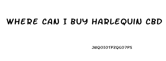 Where Can I Buy Harlequin Cbd Oil