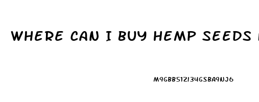 Where Can I Buy Hemp Seeds For High Cbd Oil Content