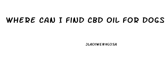 Where Can I Find Cbd Oil For Dogs On Whidbey Island