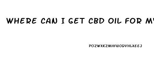 Where Can I Get Cbd Oil For My Dog Near Me