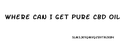 Where Can I Get Pure Cbd Oil