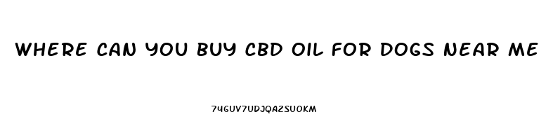 Where Can You Buy Cbd Oil For Dogs Near Me