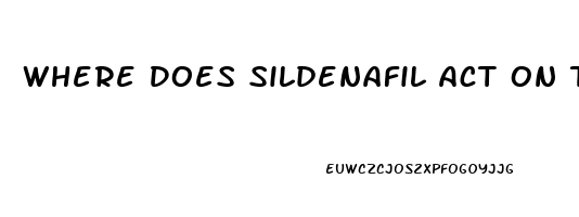 Where Does Sildenafil Act On The Penis