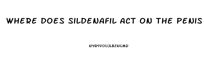 Where Does Sildenafil Act On The Penis