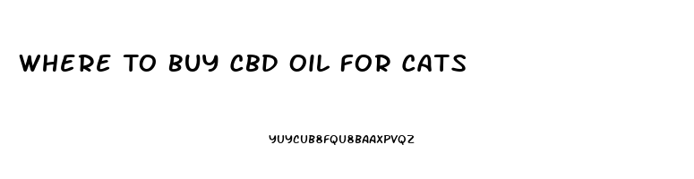 Where To Buy Cbd Oil For Cats