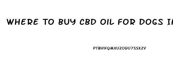 Where To Buy Cbd Oil For Dogs In Denver Colorado