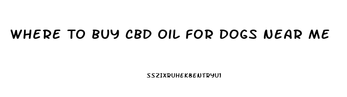 Where To Buy Cbd Oil For Dogs Near Me