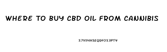 Where To Buy Cbd Oil From Cannibis