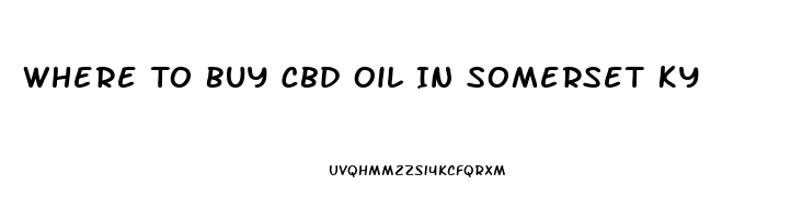 Where To Buy Cbd Oil In Somerset Ky