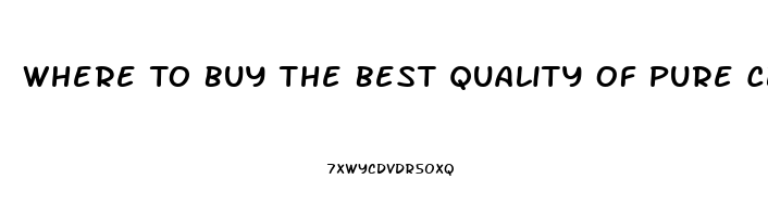 Where To Buy The Best Quality Of Pure Cbd Oil