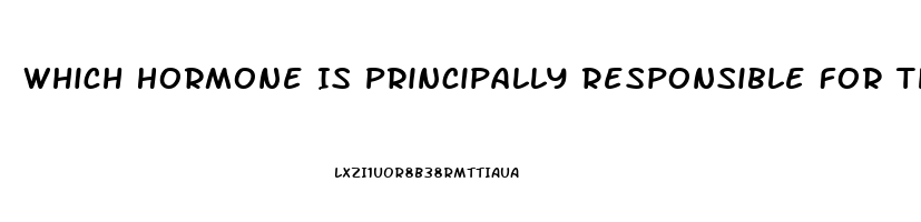 Which Hormone Is Principally Responsible For The Sex Drive In Women