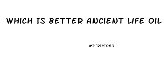 Which Is Better Ancient Life Oil Or Cbd Recovery