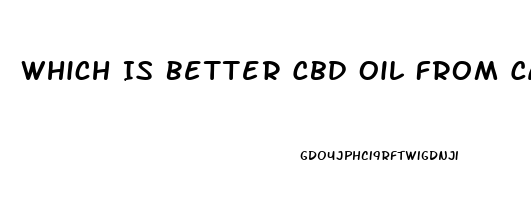 Which Is Better Cbd Oil From Cannibis Or Hemp