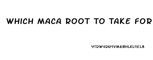 Which Maca Root To Take For Libido