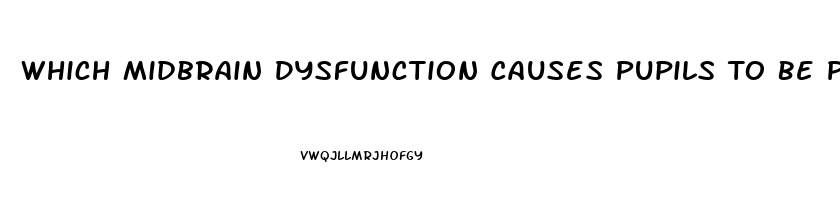 Which Midbrain Dysfunction Causes Pupils To Be Pinpoint Size And Fixed In Position